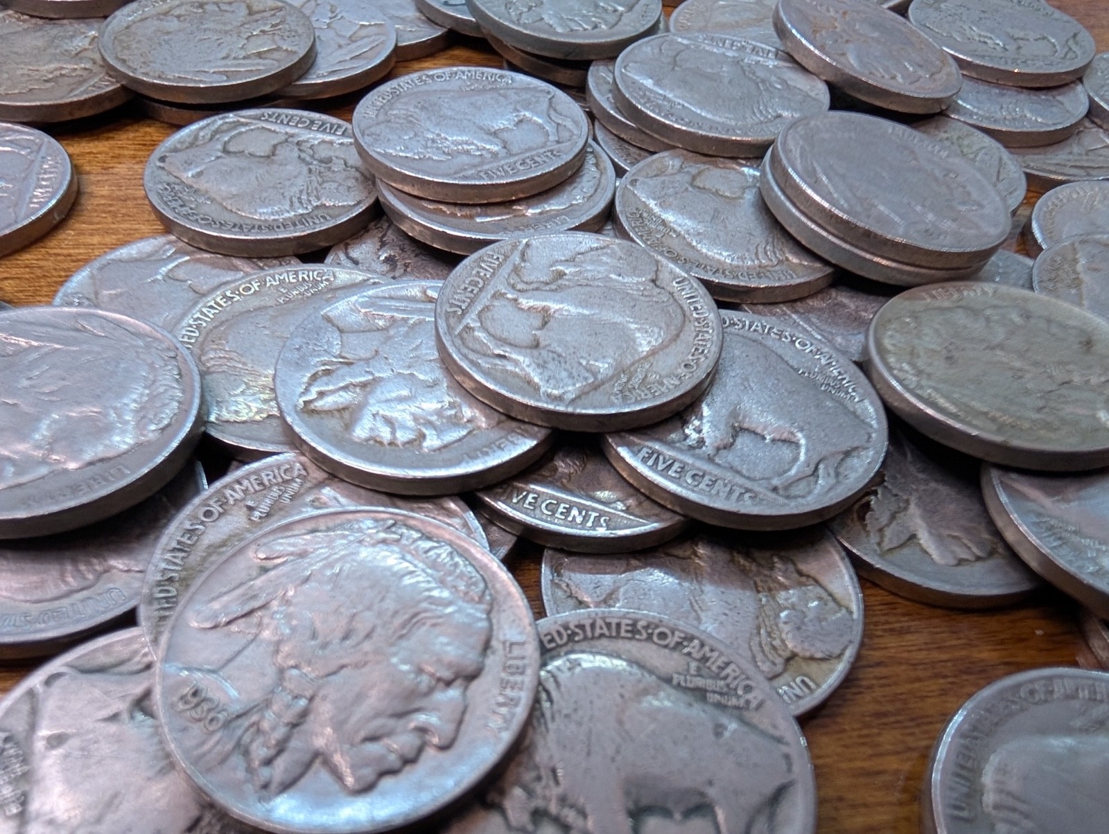 100 Buffalo Nickels - WITH DATES - Common US Nickel Coins