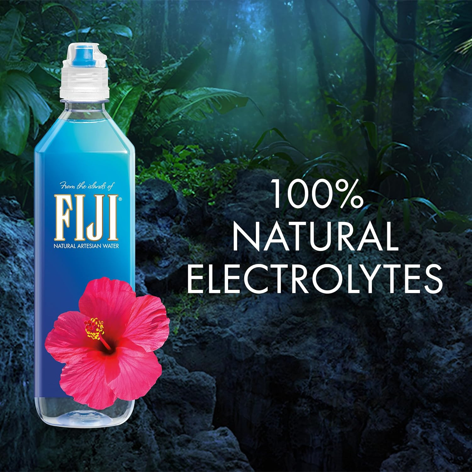 FIJI Natural Artesian Bottled Water 700Ml / 23.7 Fl Ounce (Pack of 12) - Sports