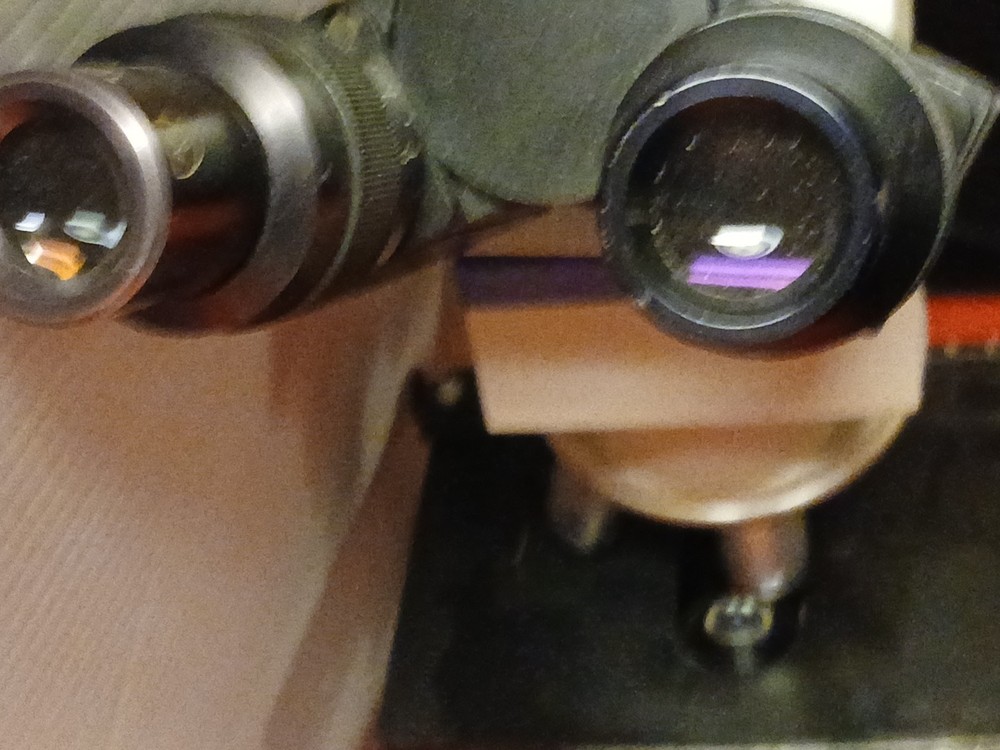 Reichert Microstar IV Series Model 410 Microscope