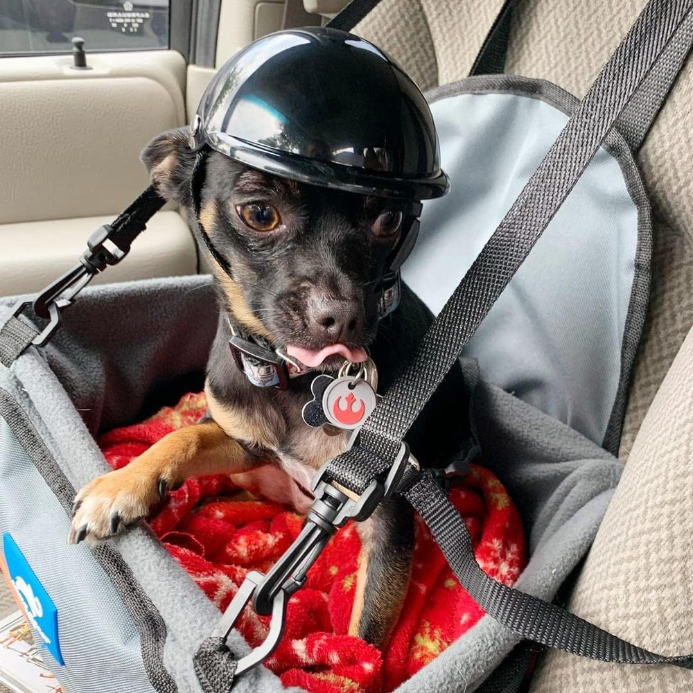 Dog Helmet for Small Dogs, Motorcycle Dog Helmets Chihuahua Helmet, Outdoor Bike