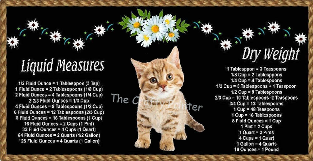 LARGE 10"x4.5" ORANGE TABBY KITTEN MAGNET with Handy Kitchen Conversion Chart