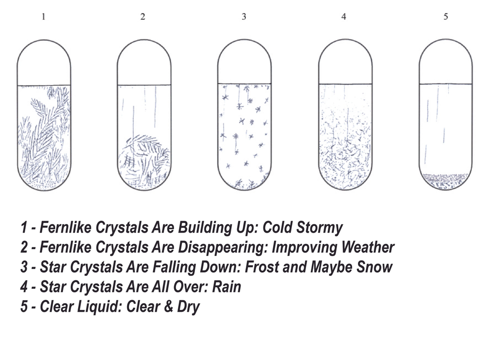 6" Fitzroy Storm Glass