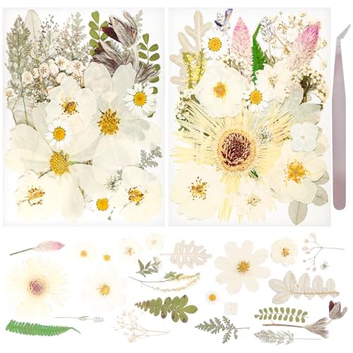 50Pcs Dried Pressed Flowers Real Pressed Flowers Natural Dry Leaves Bulk White
