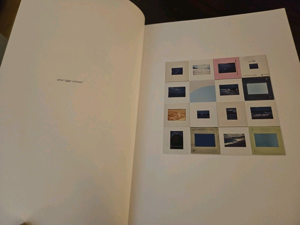 Luiz Zerbini cosac naify 2013 Art Book Compilation
