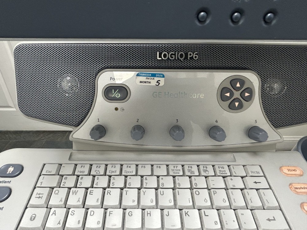GE Logiq P6 Ultrasound System