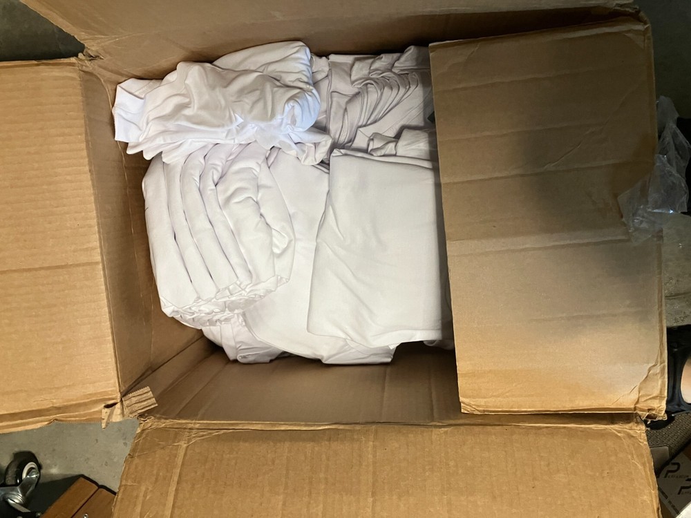 Ricoh RI-1000 DTG printer plus additional equipment