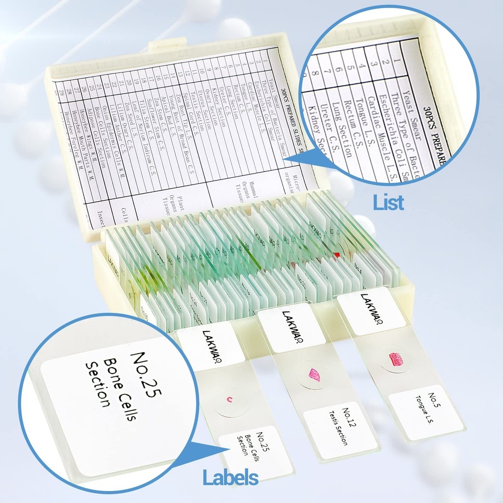 30 Microscope Slides with Specimens for Kids, Prepared Microscope Slides for ...