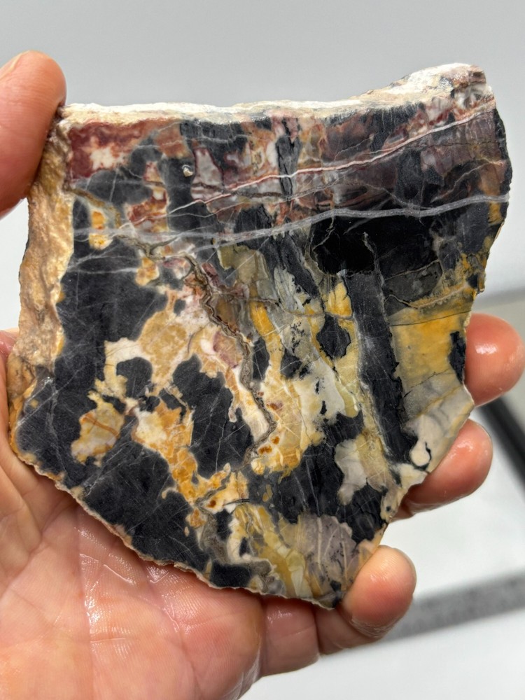 Large Roan Leopard Marble Rough Slab Cabbing Lapidary Combo Ship Avail