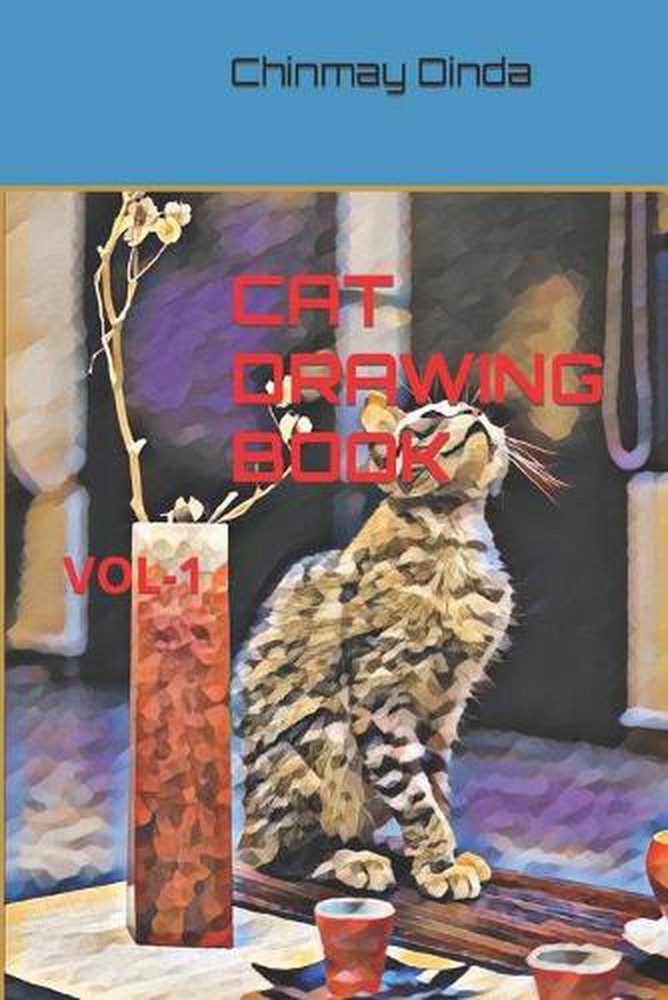 Cat Drawing Book