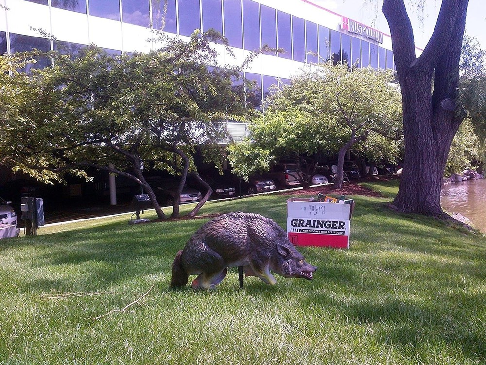3D Lifelike Predator Decoy: Moving Tail & Realistic Features for Bird Control