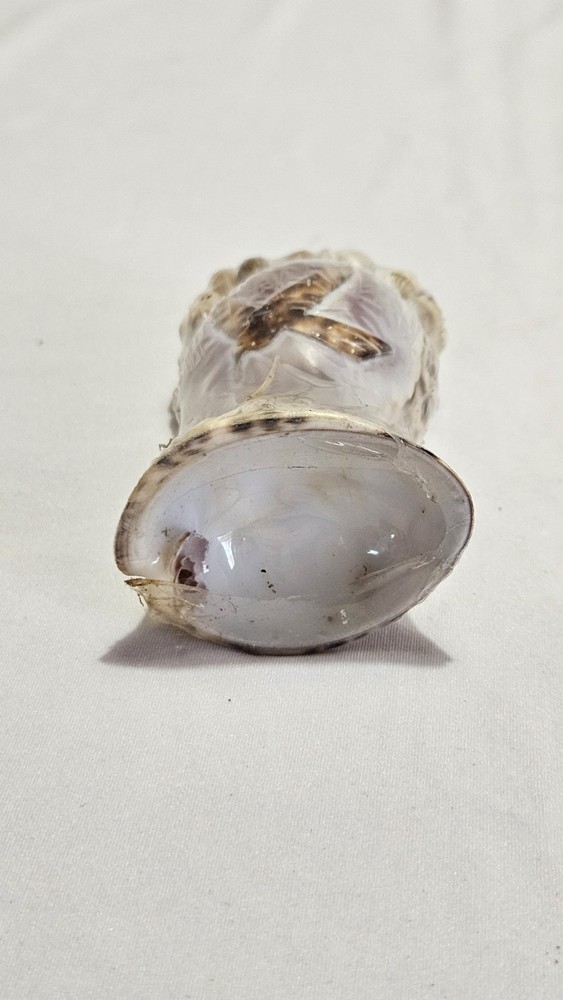 Seashell Toothpick Holder • Shell Cocktail Picks • Coastal Decor