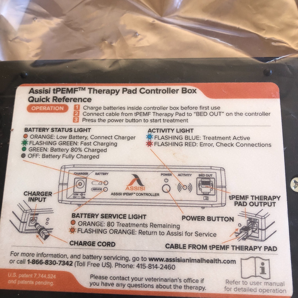 Assisi Loop Lounge Small Therapy Bed Complete System Pad 21"x10.5"