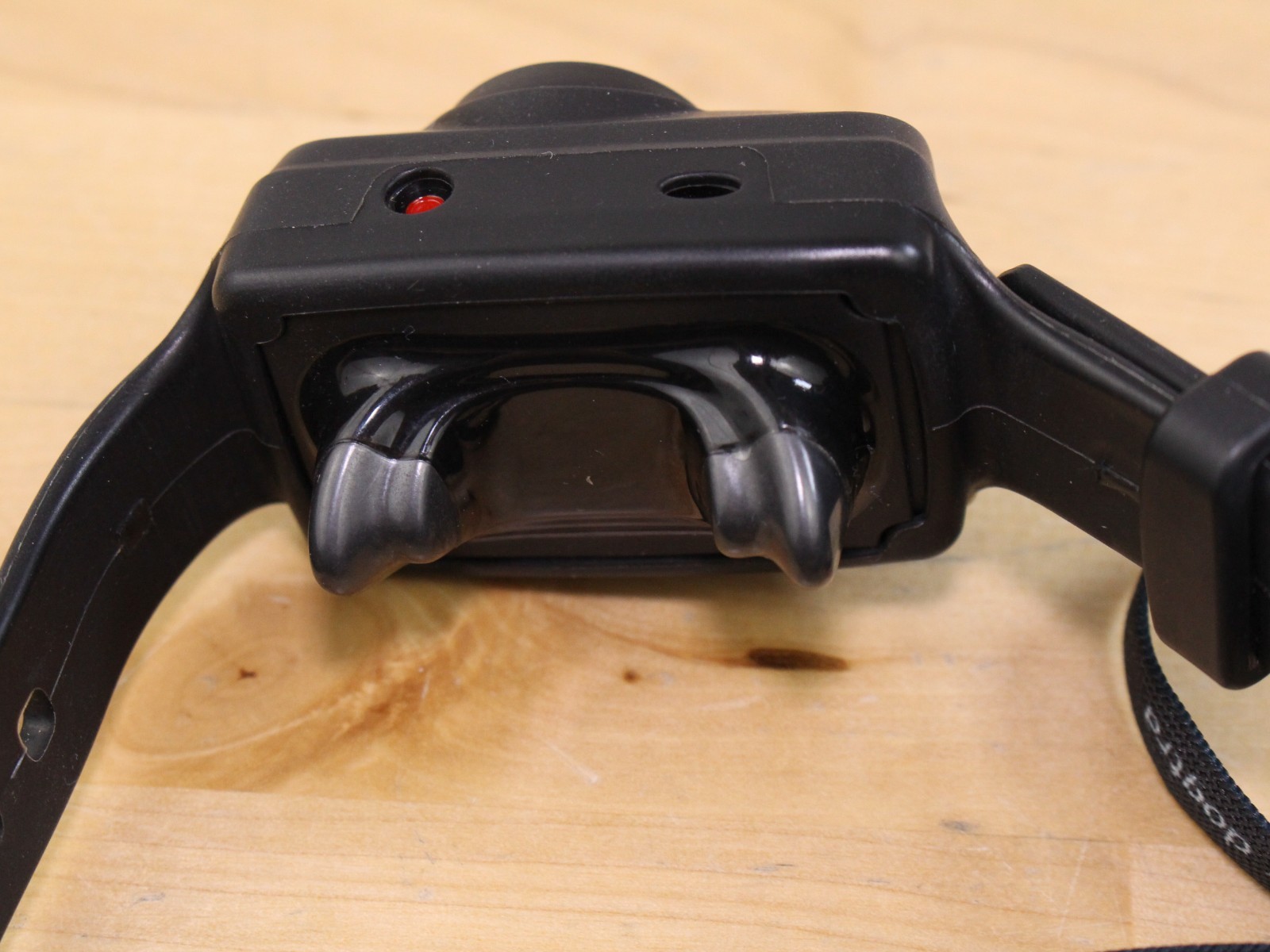 Dogtra IQ CliQ Dog Training Collar with Remote Clicker