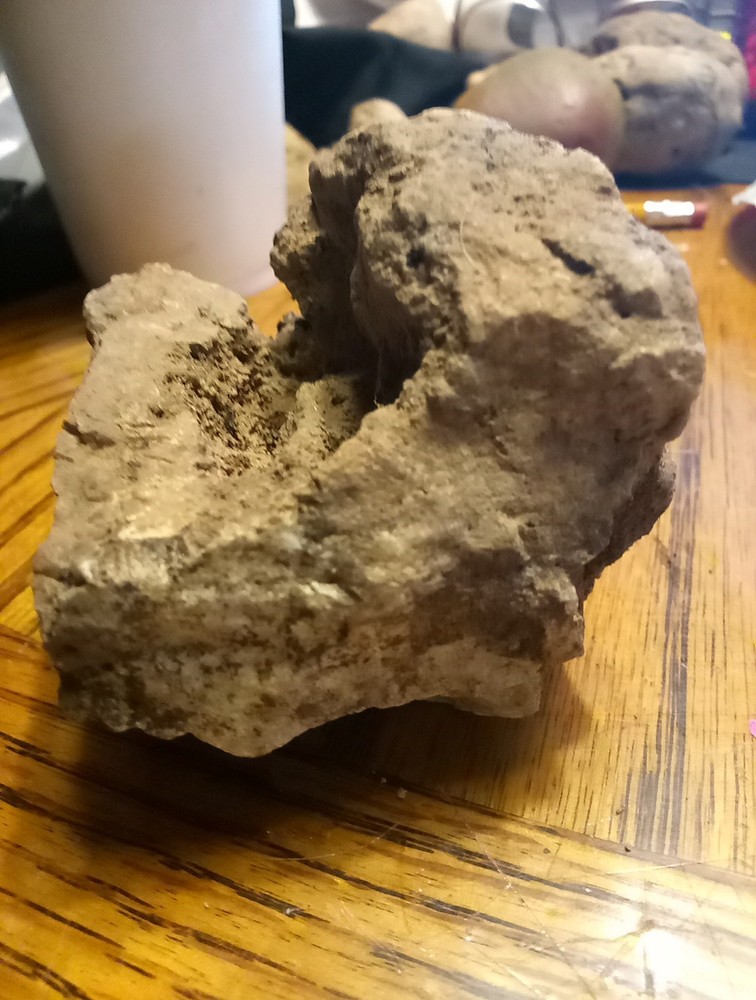 Fossils