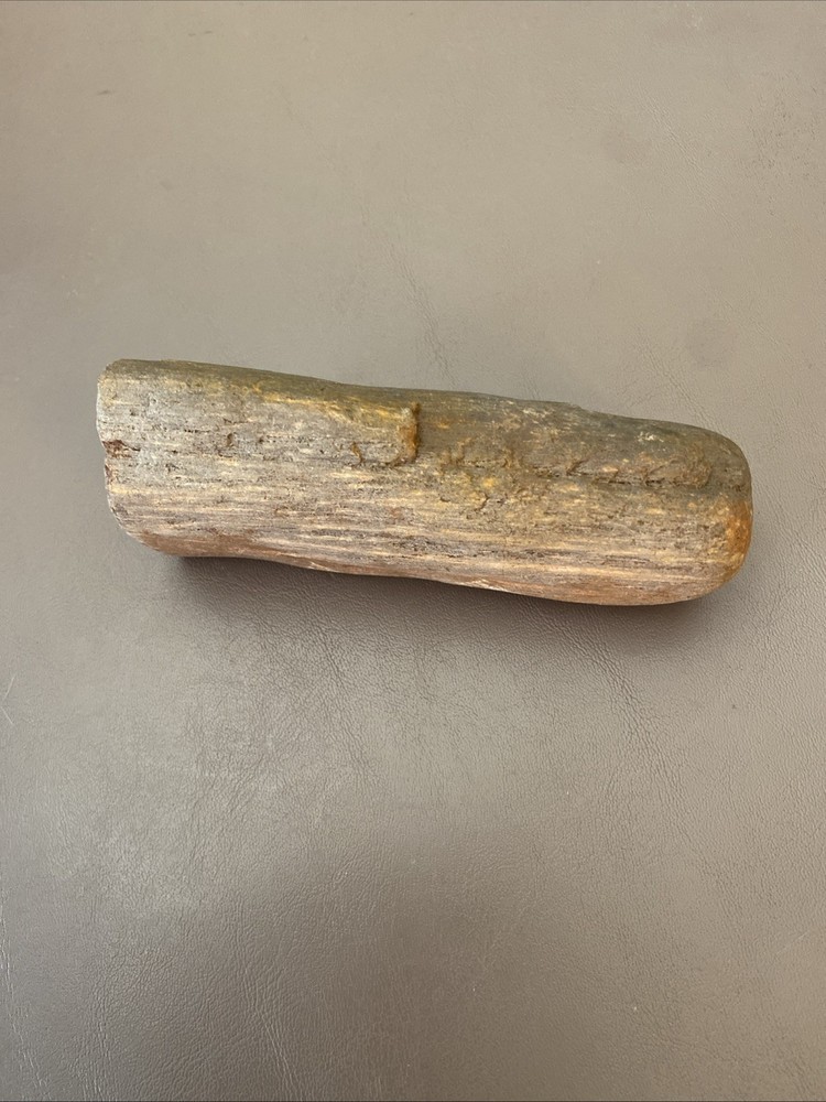 Petrified Wood