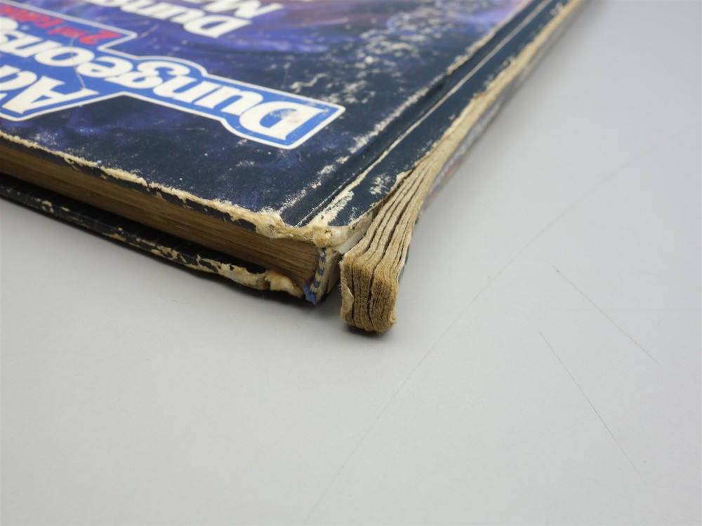 Advanced Dungeons & Dragons, D&D: Dungeon Master's Guide (2nd Edition)