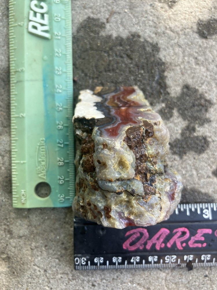 Laguna Agate Specimen (Rough)