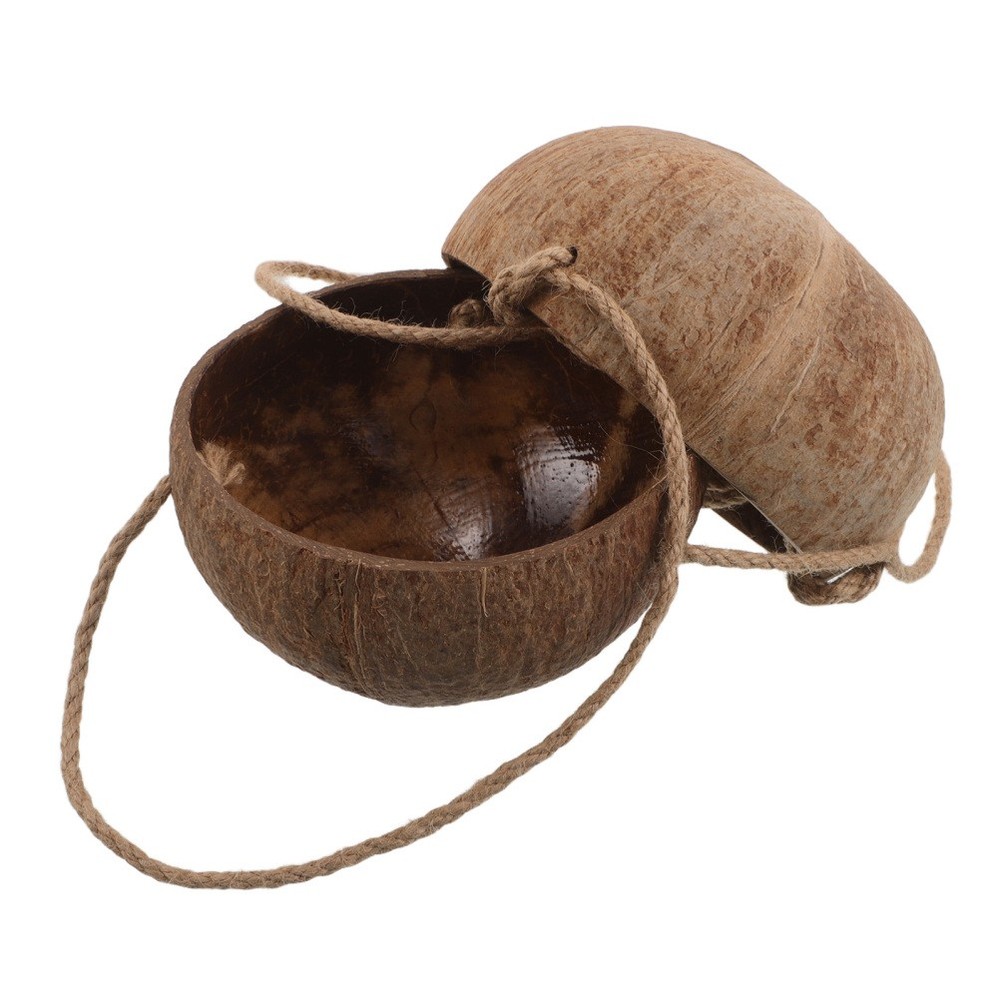 Bedroom Hanging Planter Decorative Coconut Shell Flower