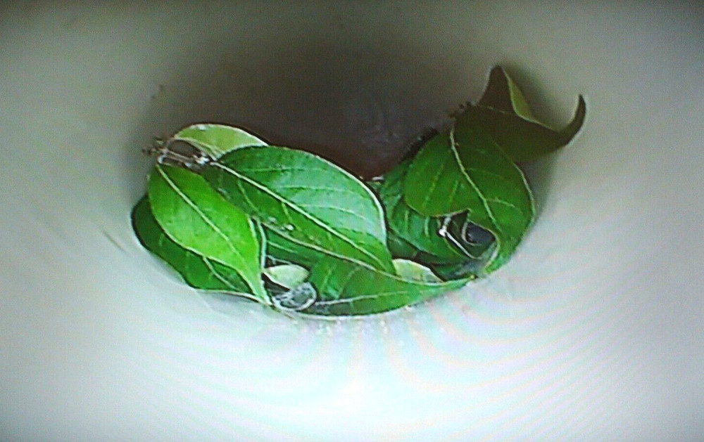 EasyCAM E5200 + E5150+EasyCAM Camera Head+EasyCam Camera+Pipe Locator