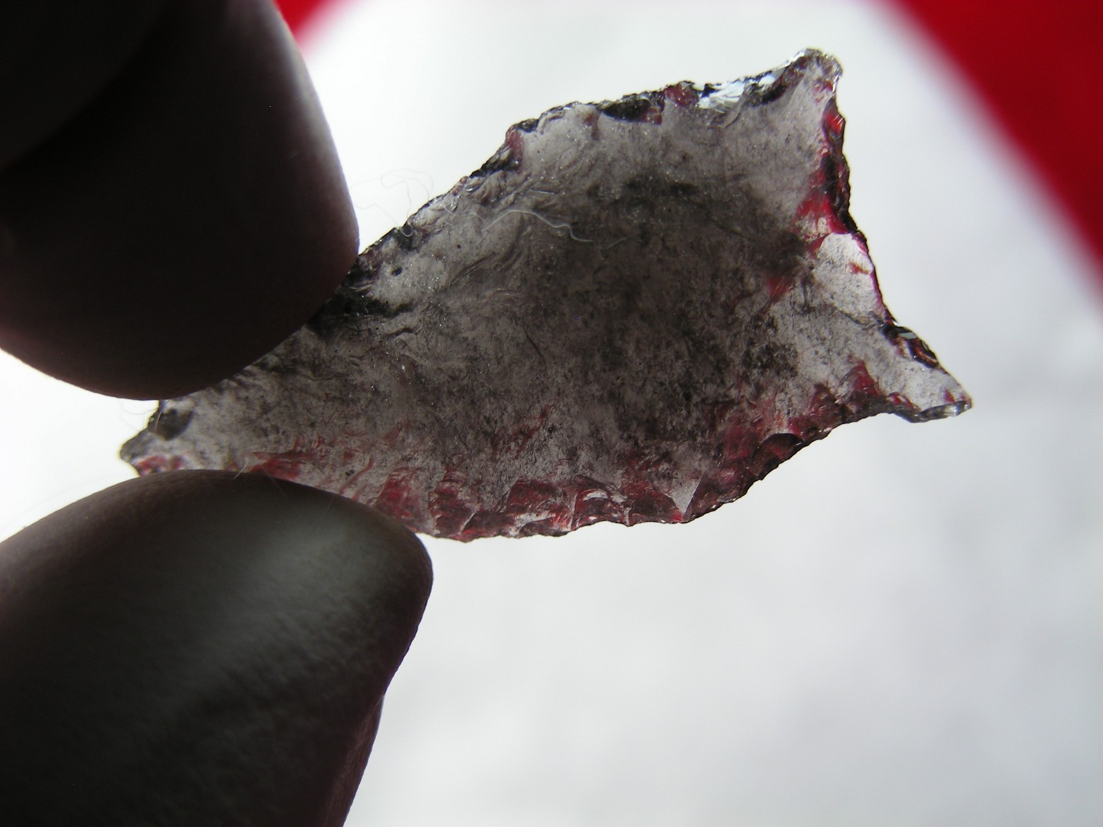 BUCHANAN EARED 1-1/4" NEVADA Authentic Indian Relics