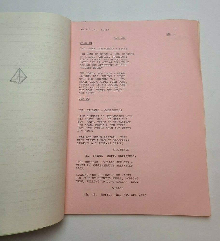 WHAT'S HAPPENING!! / 1978 TV Script, David Hollander "Positive Identification"