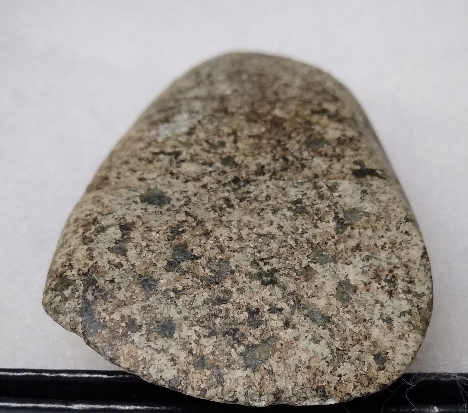 Polished Adze Mahoning County Ohio