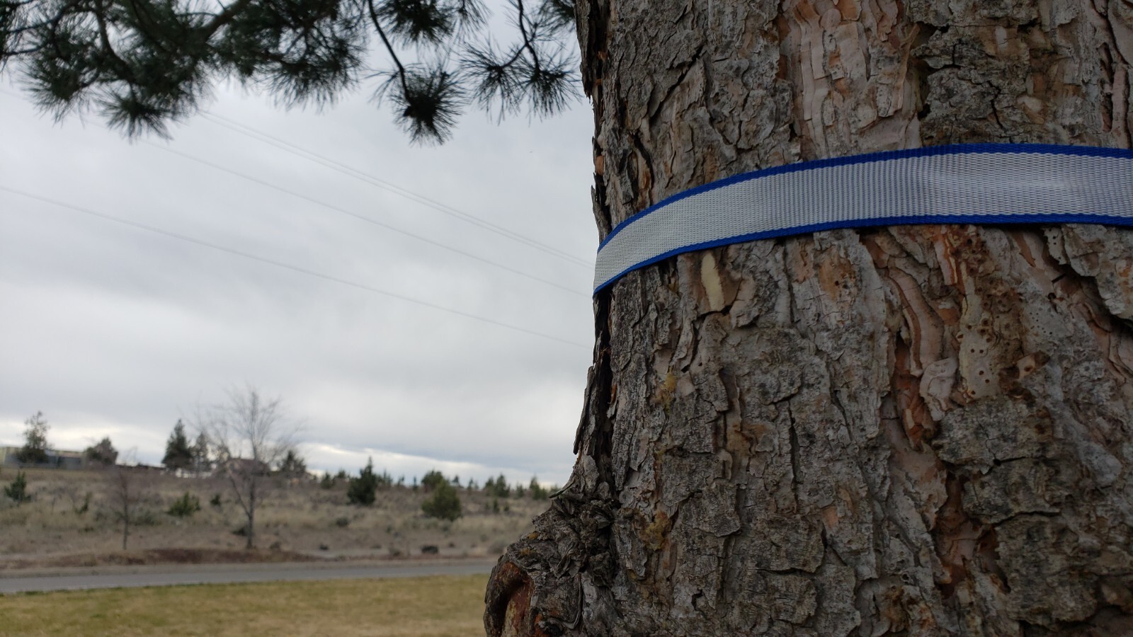 Hammock suspension straps hybrid polyester/dyneema full kit 2024