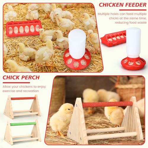 9 Pack Winter Chicken Brooder Box Starter with Heating Plate and 75w Heat