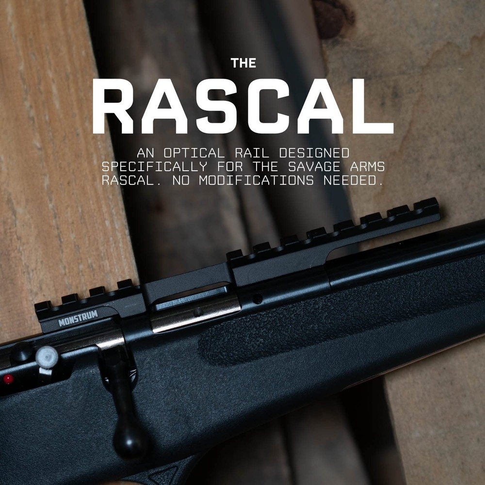 Picatinny Rail Mount for Savage Rascal Rifles