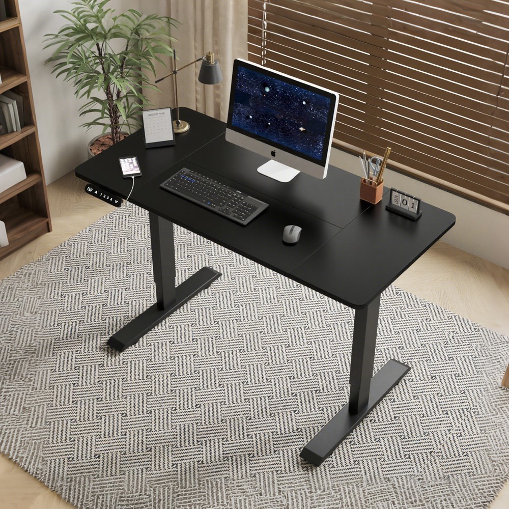 Modern Electric Standing Desk Height Adjustable Computer Desk Study Gaming Table