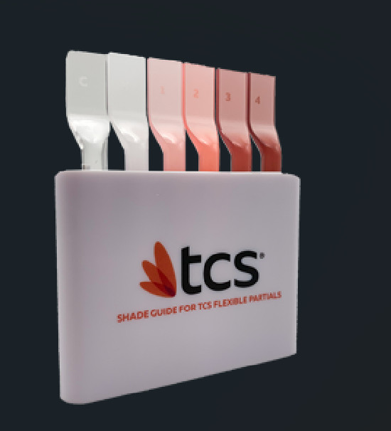 iFlex by TCS (BULK) Nylon Thermoplastic Material Kilo