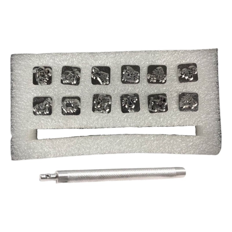 Leather Craft Stamping Tool Set DIY 12 Constellation-Pattern Stamp for Beginners