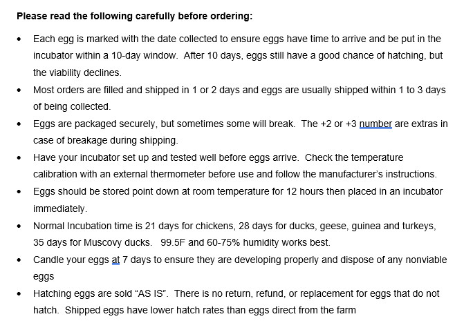 15 Rhode Island Red Chicken Hatching Eggs