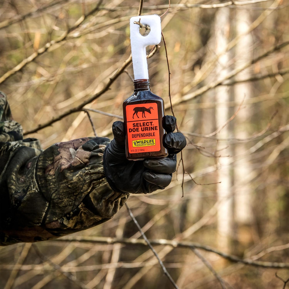 deer Attractant