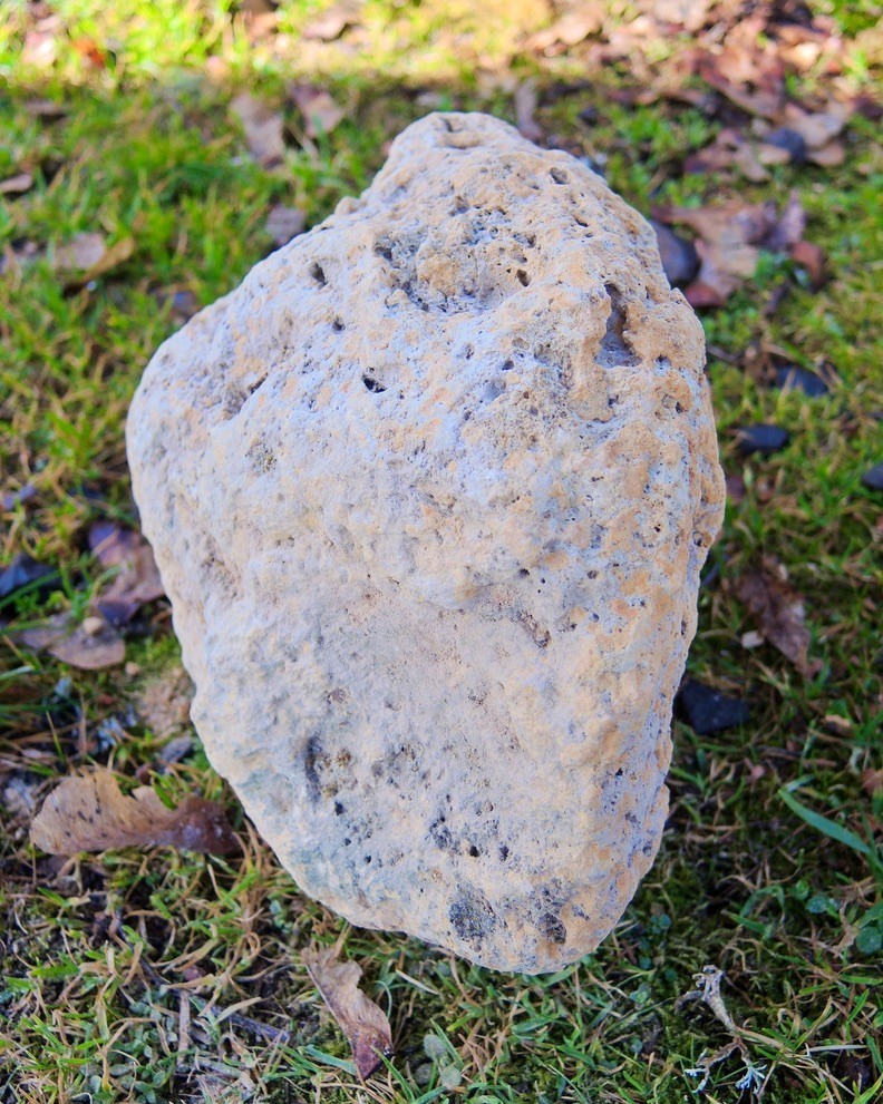 Large Pumice Stone Volcanic Rock