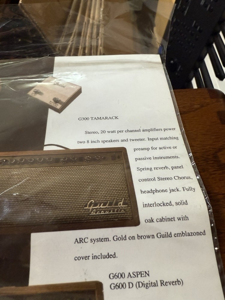 Rare Guild Tamarack Amplifier