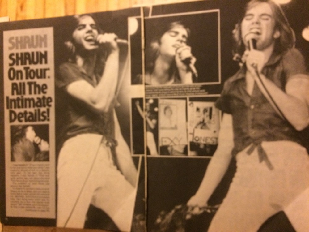 Shaun Cassidy, Three Page Vintage Clipping