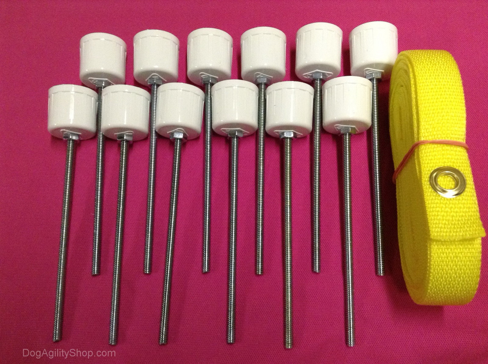 Dog Agility Equipment-12 Weave Pole Spikes/Stakes plus yellow pole placer combo!