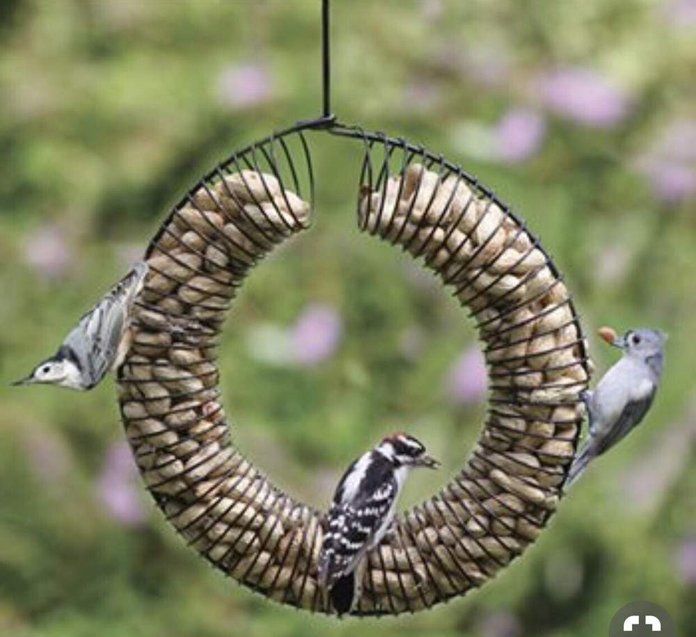 Peach Wreath Feeder Black Model PCH#781K