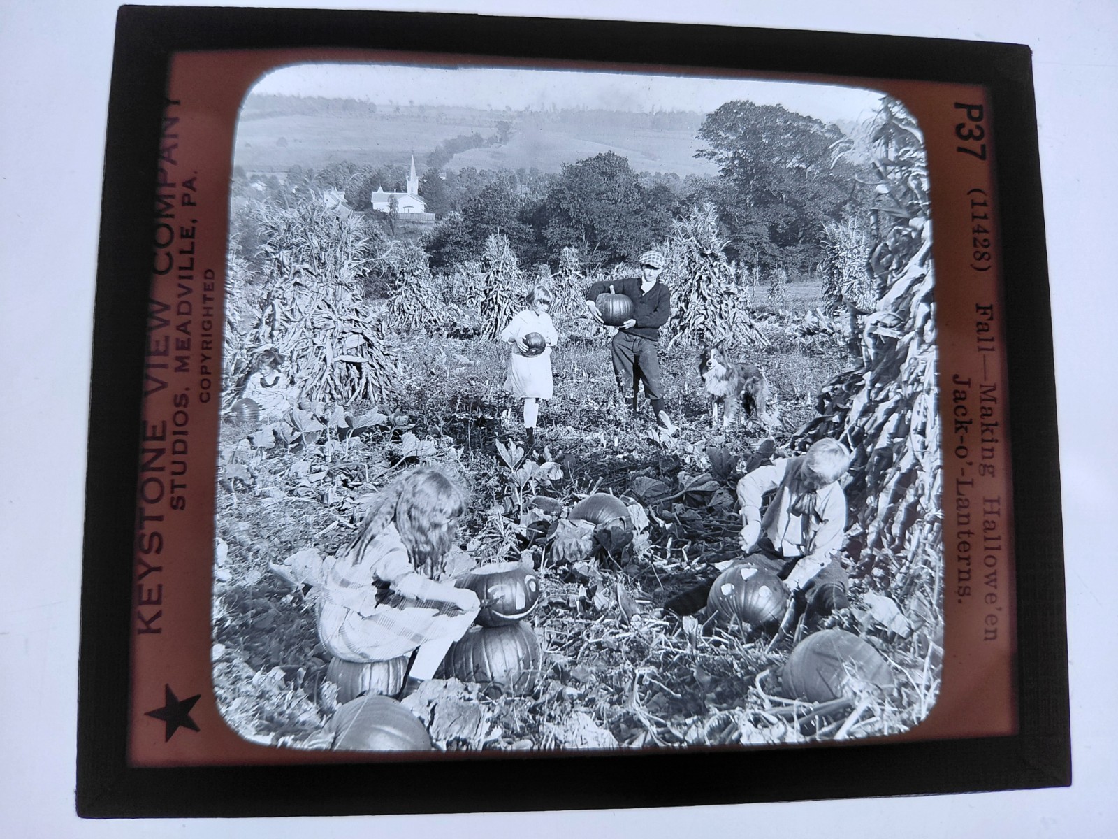 Magic Lantern Glass Slide Photo Keystone P37 Making Halloween Jack-o-lanterns