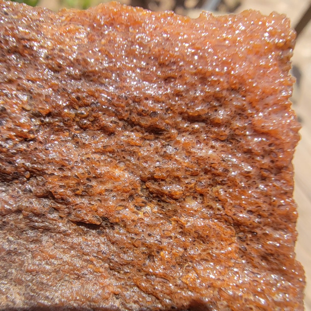 3.06lbs Small Medium agotized Dino Bone Reds