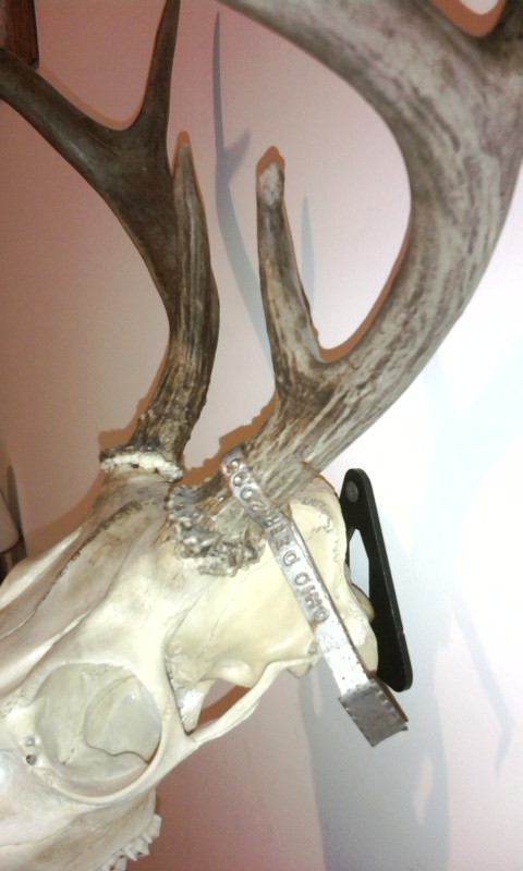 European Skull Mount Hanger *The EuroHanger* Deer Skull Hook