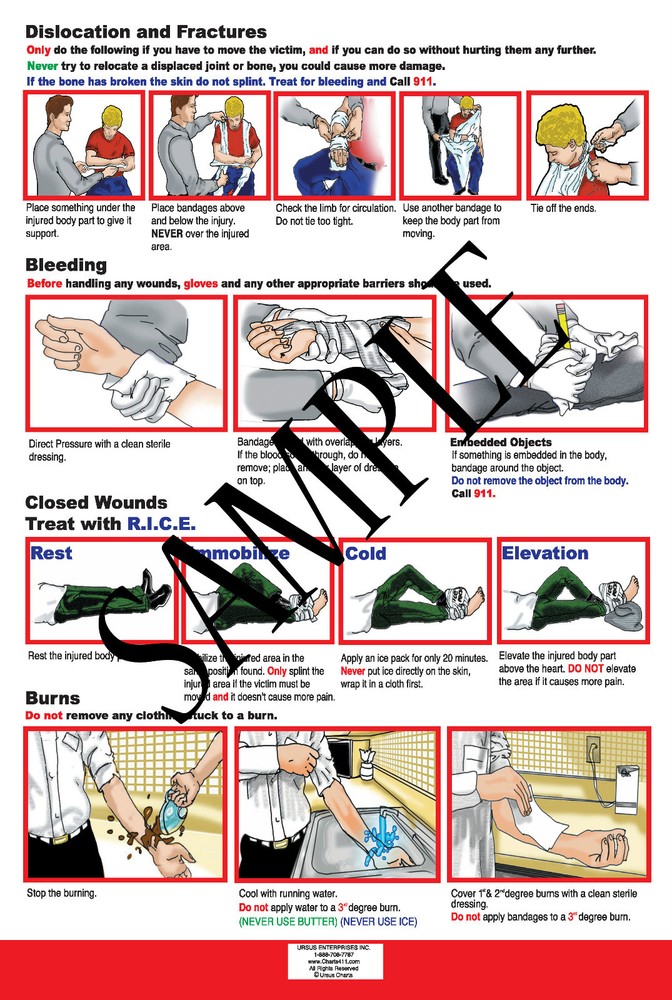 100 First Aid Reference Charts with Personalized Imprinting