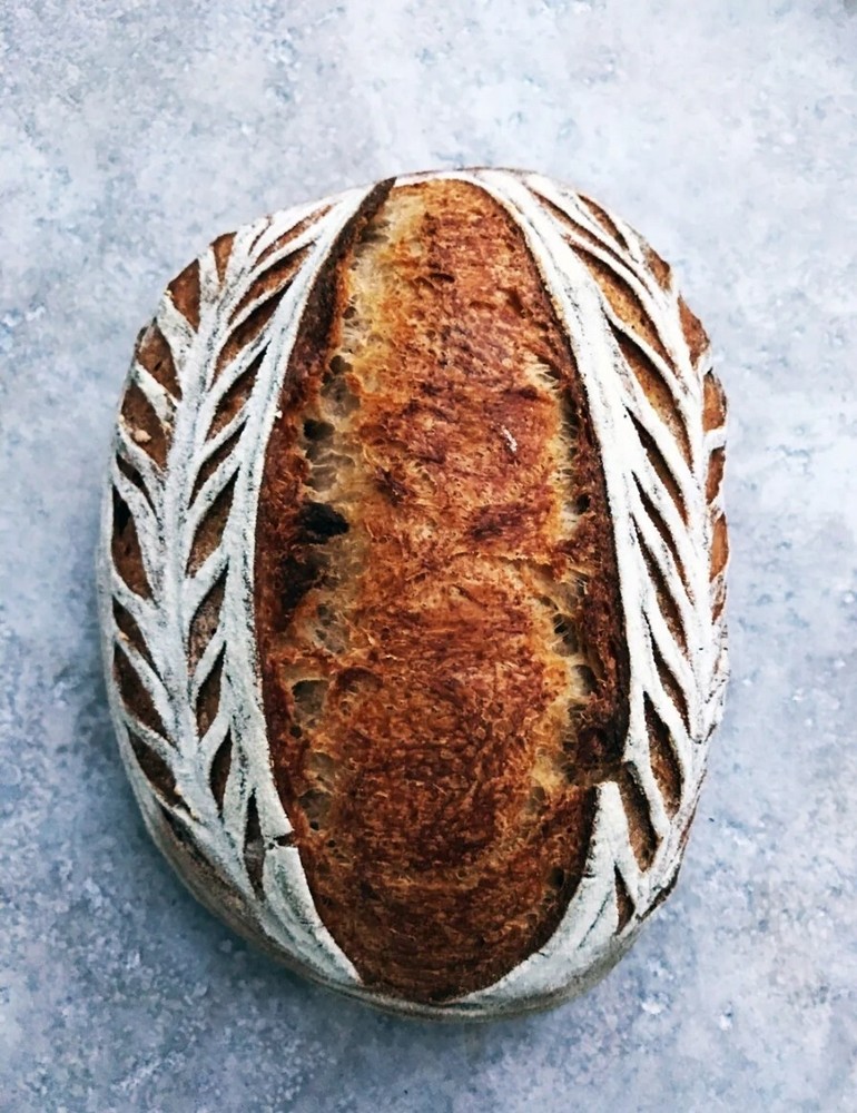 Sourdough Starter " Black Death "