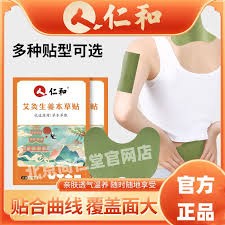Moxibustion Ginger Warm Patches 12pcs仁和艾灸生薑本草貼