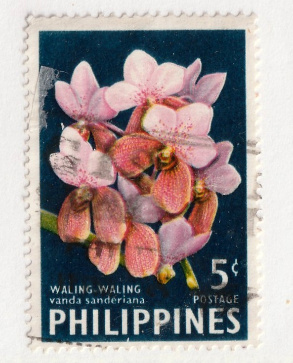 Philippines         850         used