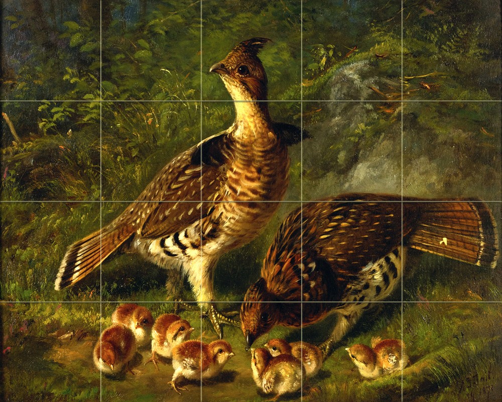 Art Wild Life Grouse Mural Ceramic Bath Backsplash Tile #2377