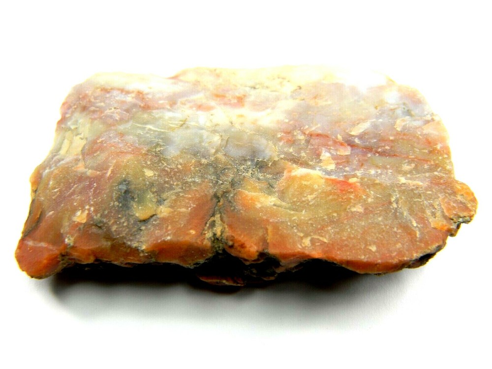 Agatized Dinosaur Coprolite Utah 67.01 grams