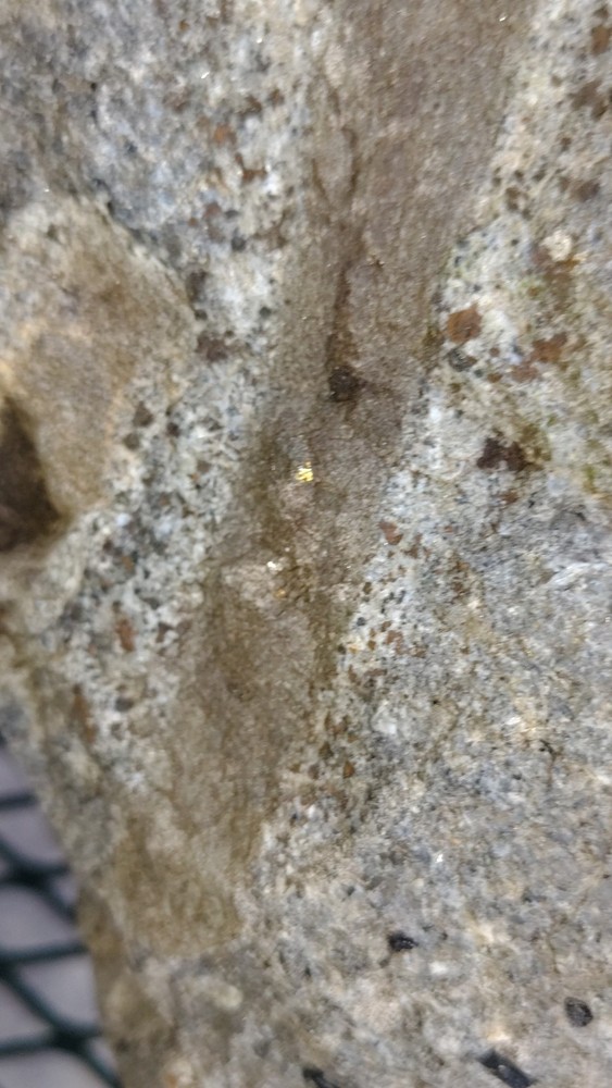 Arkansas Gold Ore