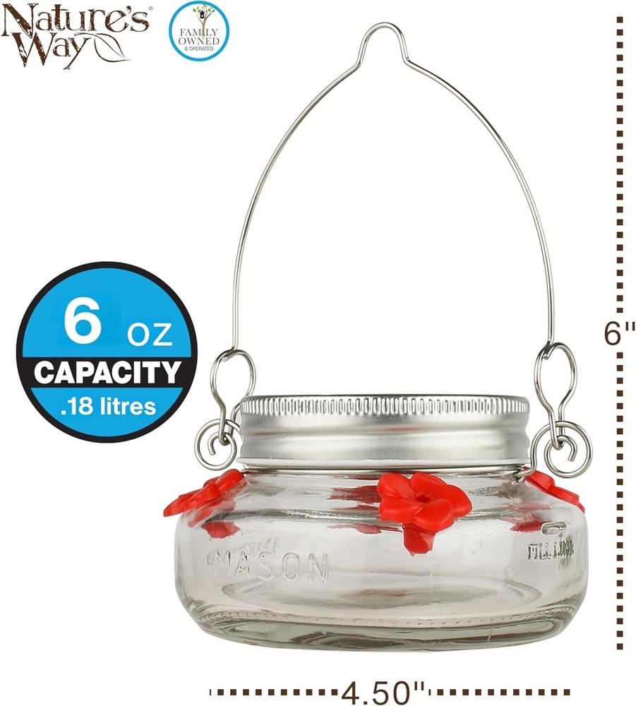 Mason Jar Hummingbird Dish Feeder, Clear
